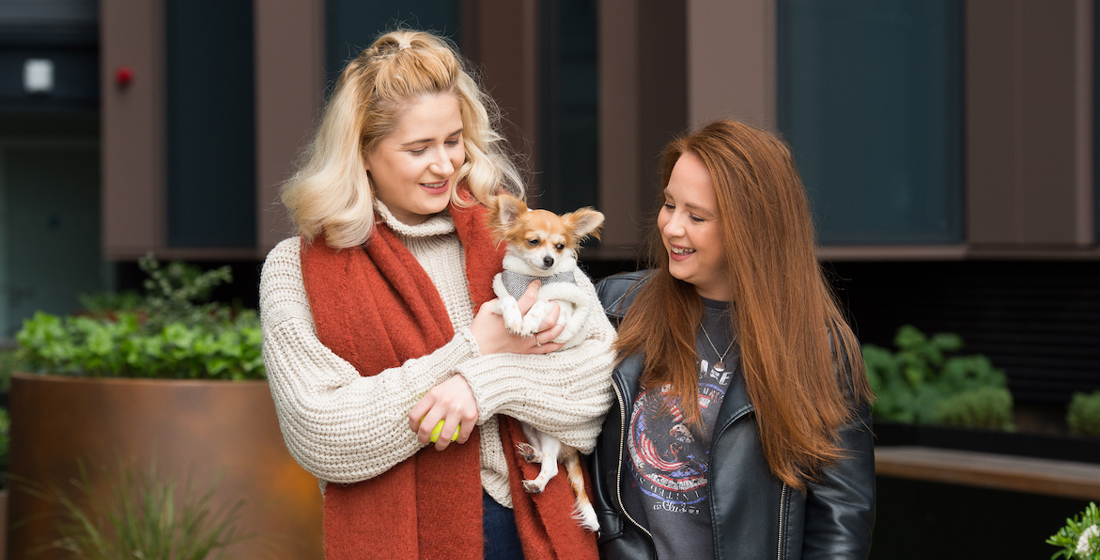 Where to find pet friendly rental properties