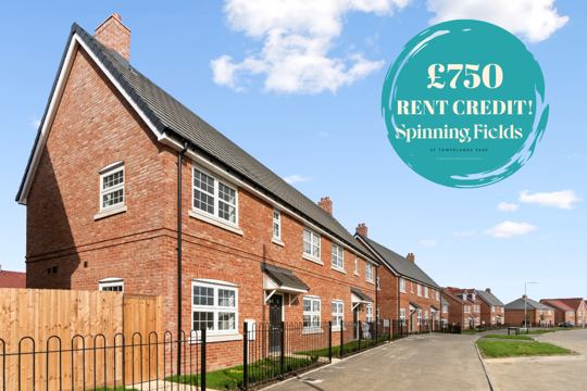 8 Triple Avenue - Muga II