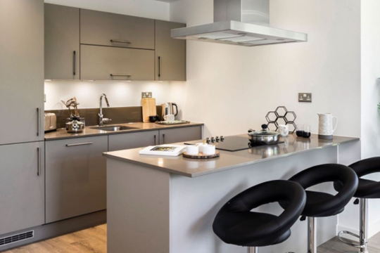 Apartments to Rent by Savills at The Forge, Newham, E6, kitchen