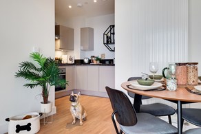 Apartments to Rent by Folio at Oaklands Rise, Brent, NW10, dining kitchen area