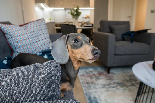 Image of Apartment at The Quarters