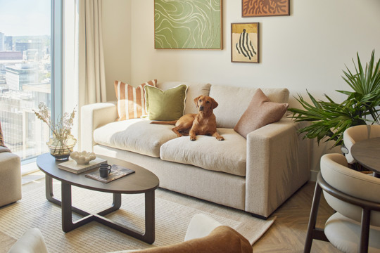 Apartments to Rent by Savills at One Eastside, Birmingham, B7, living area