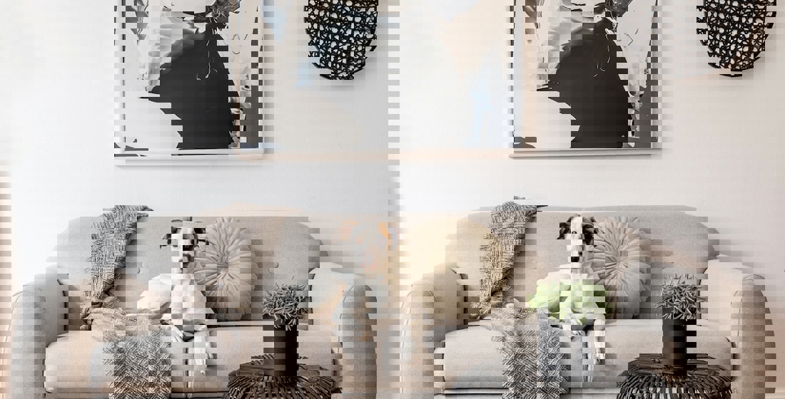 A beginner’s guide to buying art