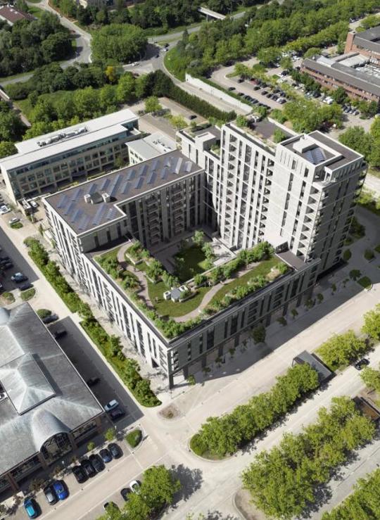 Arbour | New rental property development