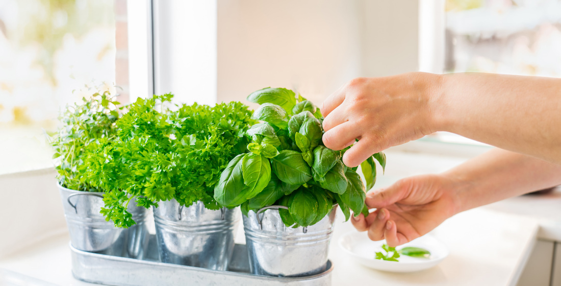 How to live sustainably