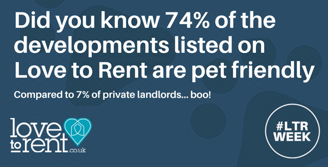 Pet friendly renting