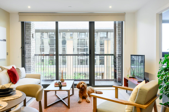 Apartments to Rent by Savills at Arbour, Milton Keynes, MK9, living area