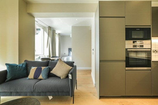 Houses and Apartments to Rent by JLL at Sugar House Island, Newham, E15, living kitchen area