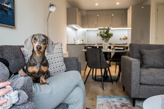 Apartments to Rent by Northern Group at The Quarters, Manchester, M1, kitchen living dining area
