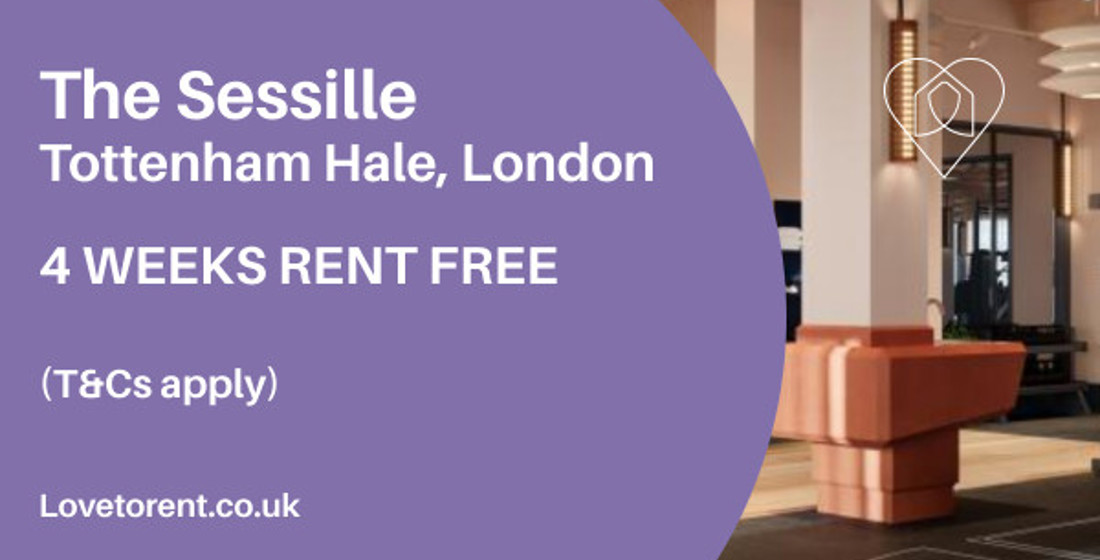 Do Not Miss These Offers High Quality Copy 3 (3)