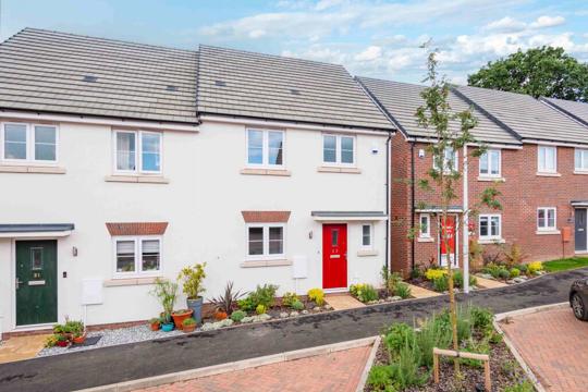 House by Simple Life to Rent, The Eveleigh ES, 3 bedroom house, house panoramic