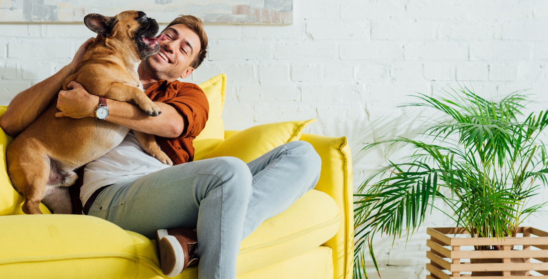 How to find dog-friendly rentals