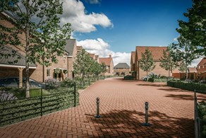 Homes to Rent by Allsop at Spinning Fields, Braintree, Essex, CM7, development panoramic